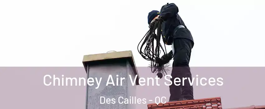 Chimney Air Vent Services Des Cailles - QC