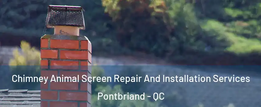 Chimney Animal Screen Repair And Installation Services Pontbriand - QC