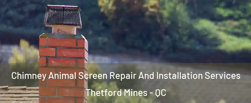 Chimney Animal Screen Repair And Installation Services Thetford Mines - QC