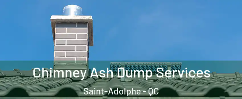  Chimney Ash Dump Services Saint-Adolphe - QC
