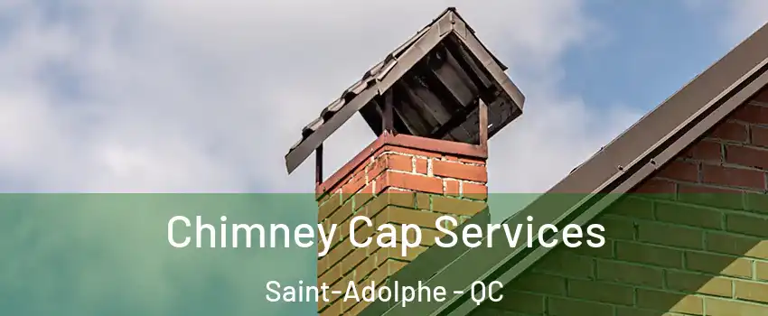  Chimney Cap Services Saint-Adolphe - QC