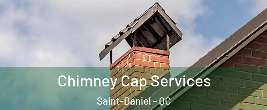 Chimney Cap Services Saint-Daniel - QC