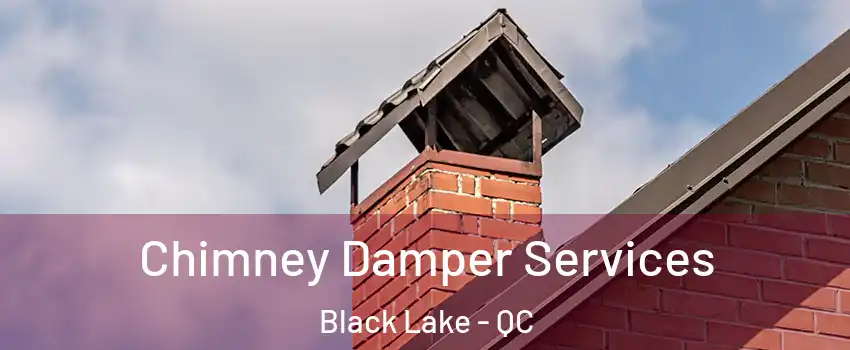 Chimney Damper Services Black Lake - QC