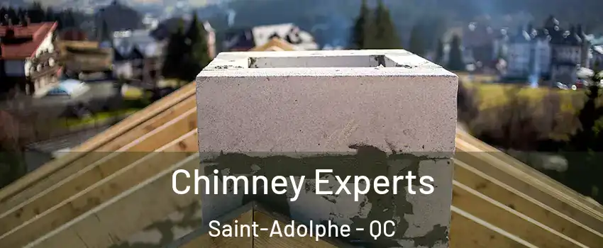 Chimney Experts Saint-Adolphe - QC