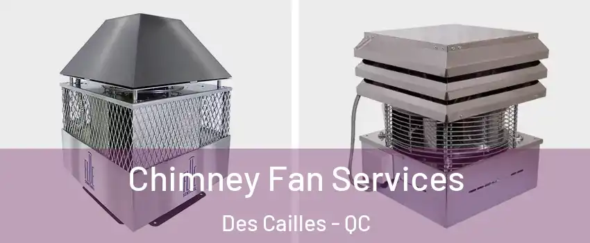 Chimney Fan Services Des Cailles - QC