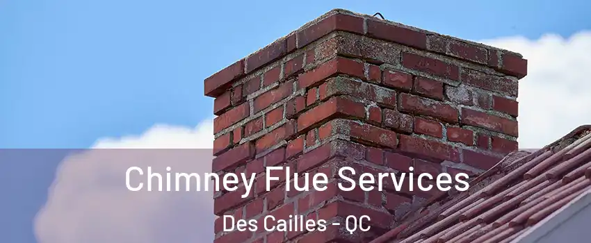 Chimney Flue Services Des Cailles - QC