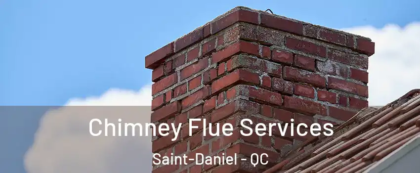 Chimney Flue Services Saint-Daniel - QC