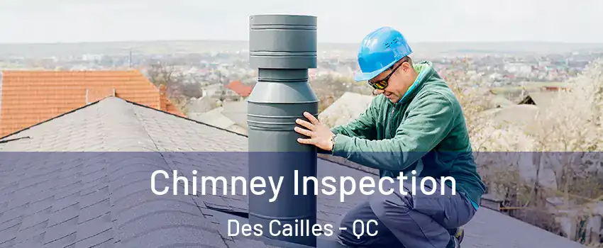 Chimney Inspection Des Cailles - QC