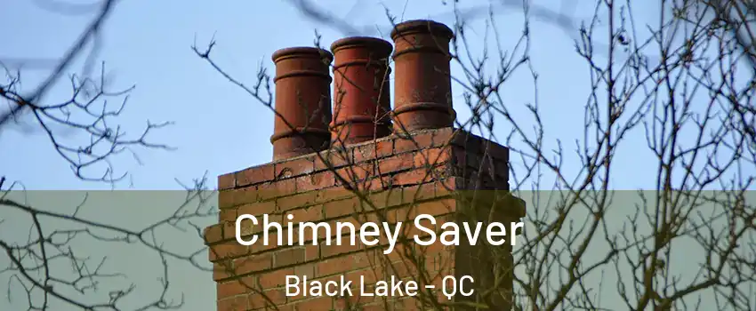 Chimney Saver Black Lake - QC