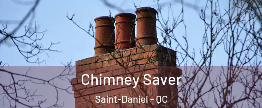 Chimney Saver Saint-Daniel - QC