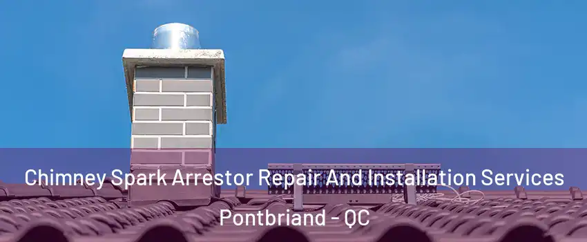 Chimney Spark Arrestor Repair And Installation Services Pontbriand - QC