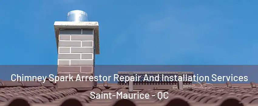 Chimney Spark Arrestor Repair And Installation Services Saint-Maurice - QC