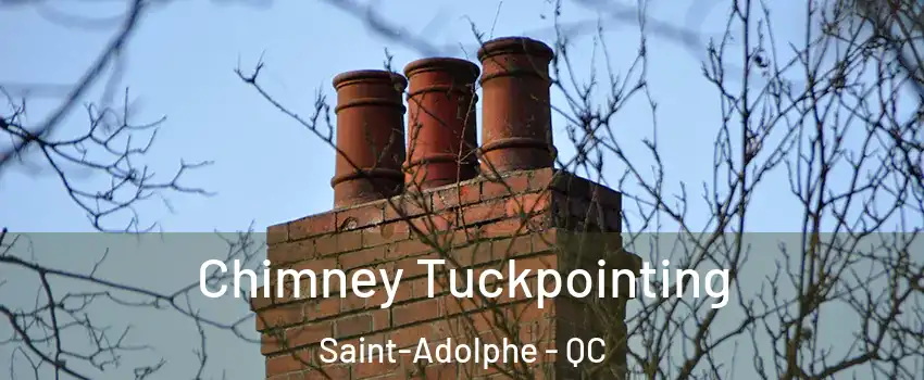 Chimney Tuckpointing Saint-Adolphe - QC