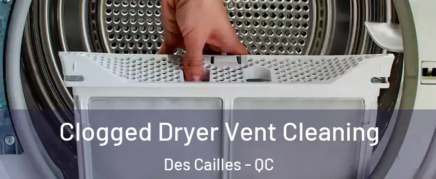  Clogged Dryer Vent Cleaning Des Cailles - QC