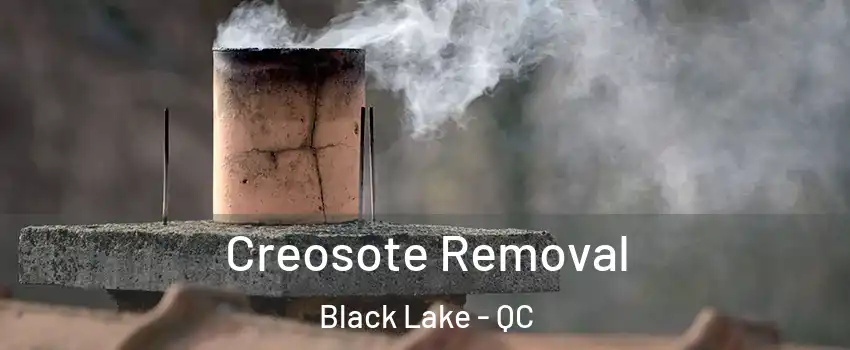 Creosote Removal Black Lake - QC