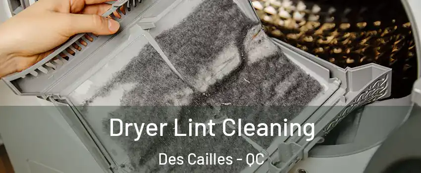 Dryer Lint Cleaning Des Cailles - QC
