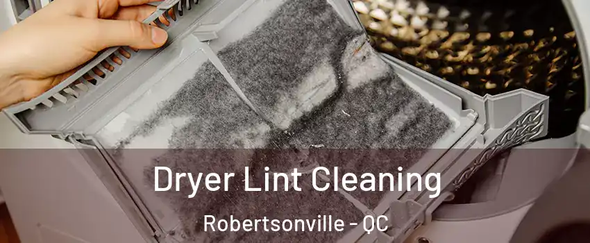 Dryer Lint Cleaning Robertsonville - QC