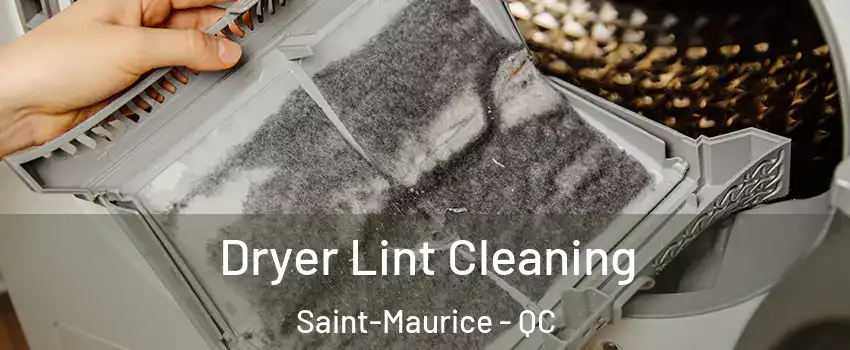  Dryer Lint Cleaning Saint-Maurice - QC