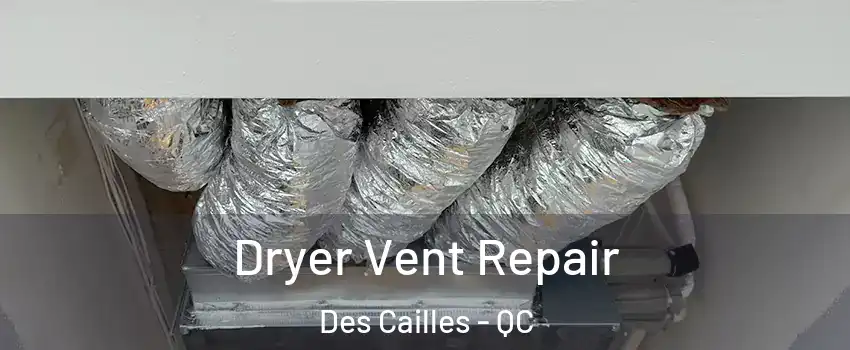 Dryer Vent Repair Des Cailles - QC