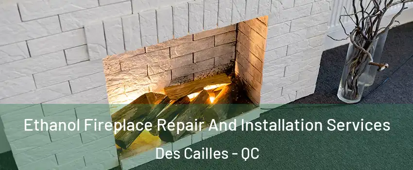 Ethanol Fireplace Repair And Installation Services Des Cailles - QC
