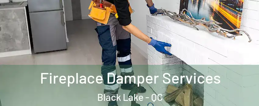  Fireplace Damper Services Black Lake - QC