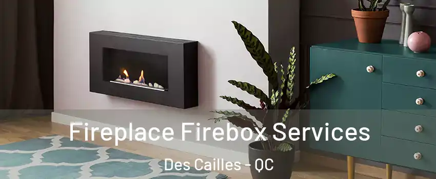 Fireplace Firebox Services Des Cailles - QC