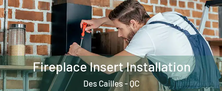 Fireplace Insert Installation Des Cailles - QC