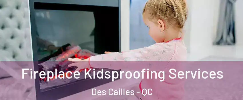  Fireplace Kidsproofing Services Des Cailles - QC