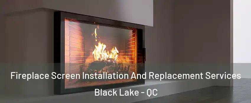 Fireplace Screen Installation And Replacement Services Black Lake - QC