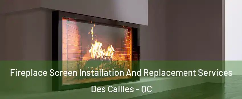 Fireplace Screen Installation And Replacement Services Des Cailles - QC