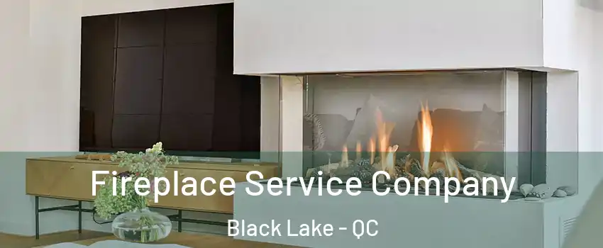  Fireplace Service Company Black Lake - QC