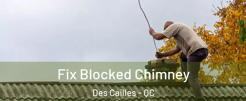  Fix Blocked Chimney Des Cailles - QC