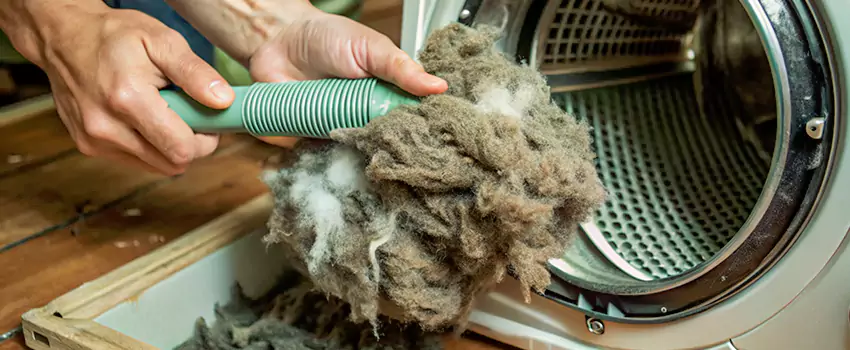 Best Dryer Lint Removal Company in Thetford Mines, Quebec