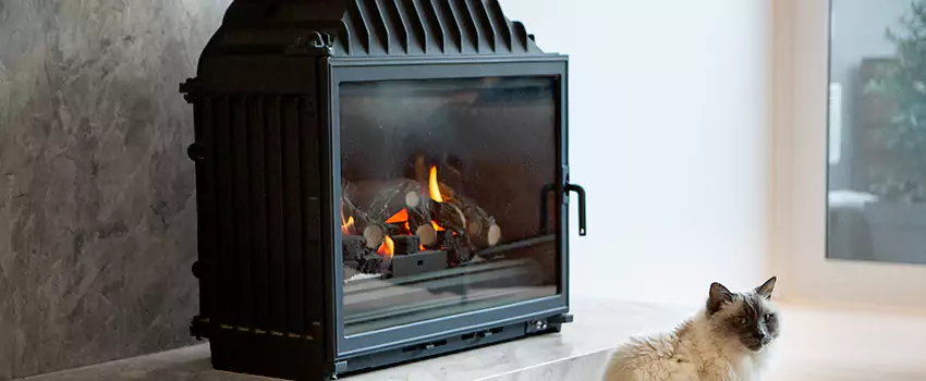 Fireplace Damaged Damper Frame Repair Services in Thetford Mines, Quebec