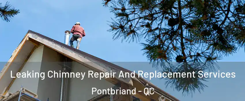 Leaking Chimney Repair And Replacement Services Pontbriand - QC