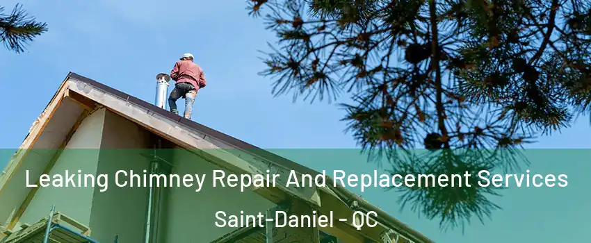 Leaking Chimney Repair And Replacement Services Saint-Daniel - QC