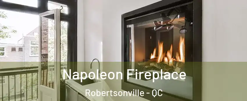 Napoleon Fireplace Robertsonville - QC