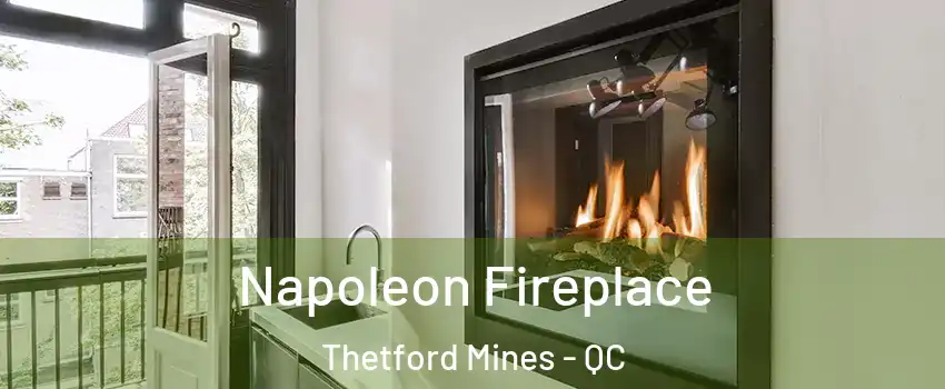 Napoleon Fireplace Thetford Mines - QC
