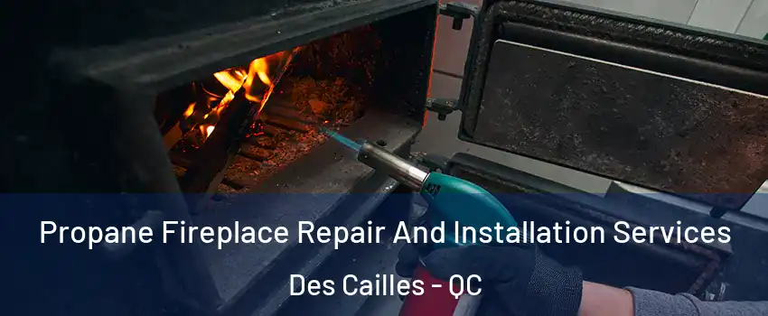 Propane Fireplace Repair And Installation Services Des Cailles - QC