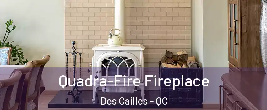 Quadra-Fire Fireplace Des Cailles - QC