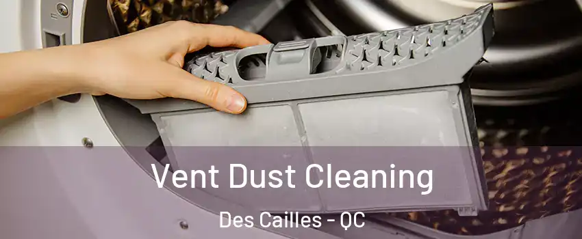  Vent Dust Cleaning Des Cailles - QC