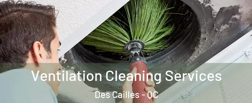 Ventilation Cleaning Services Des Cailles - QC