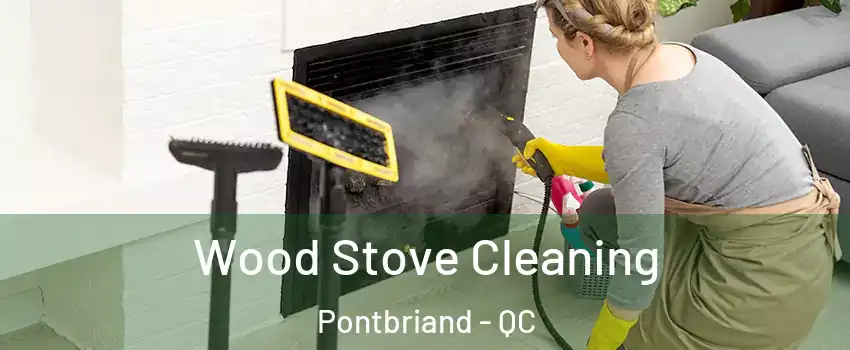 Wood Stove Cleaning Pontbriand - QC